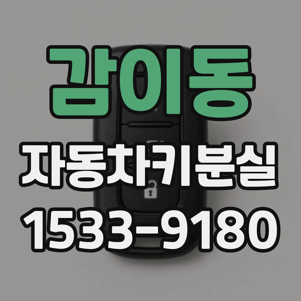 감이동 자동차키분실