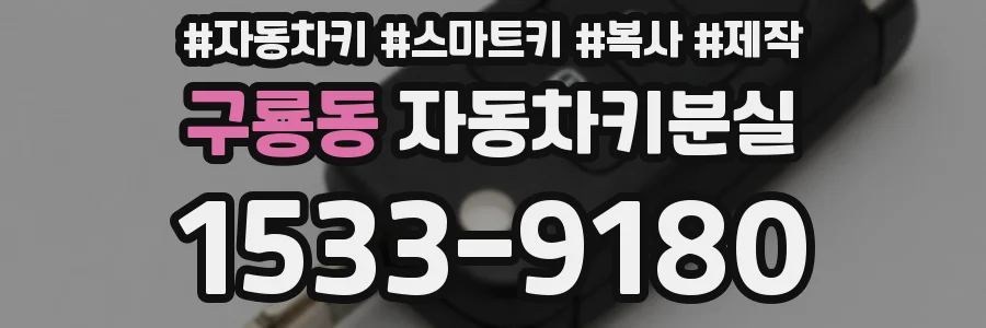 구룡동 자동차키분실