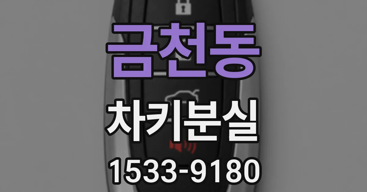 금천동 차키분실