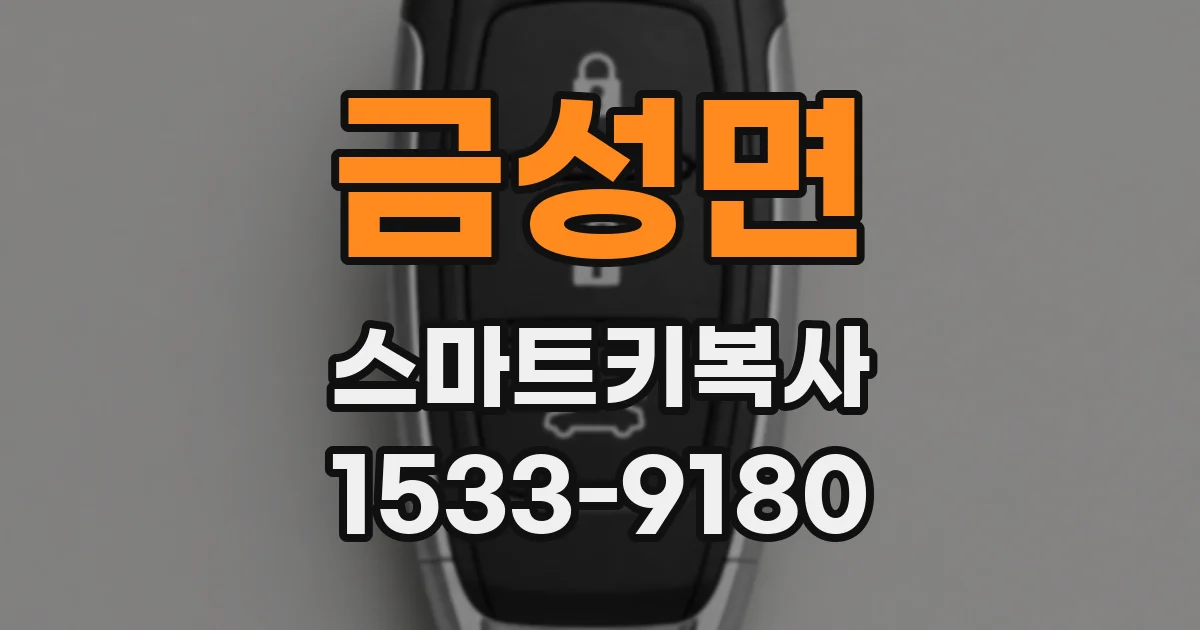 금성면 스마트키복사