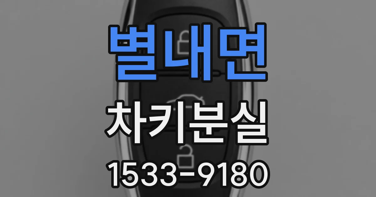 별내면 차키분실