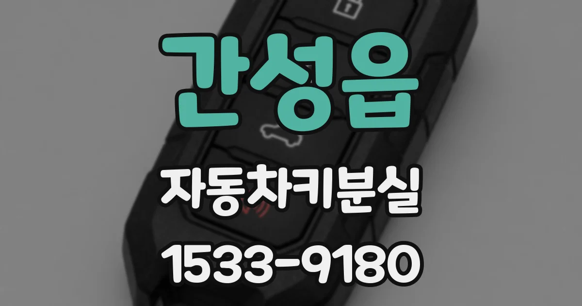 간성읍 자동차키분실