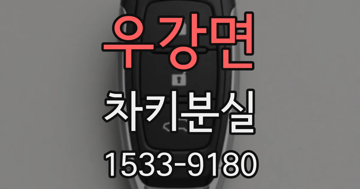 우강면 차키분실