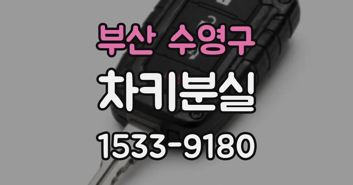 부산 수영구 차키분실