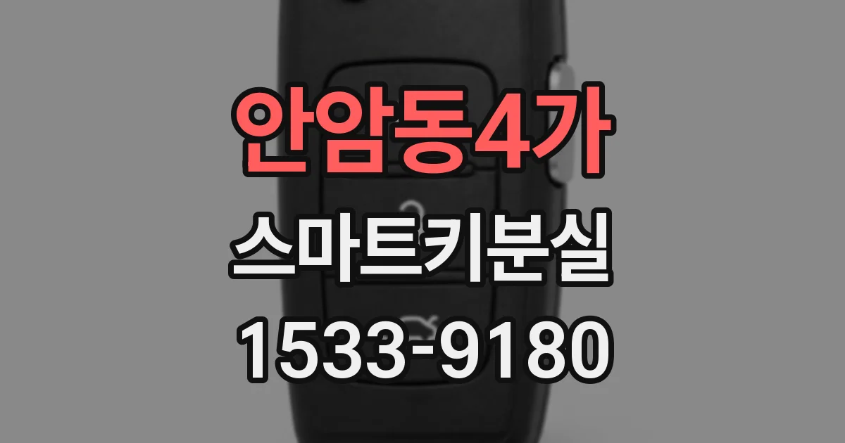 안암동4가 스마트키분실