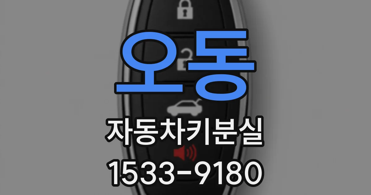 오동 자동차키분실