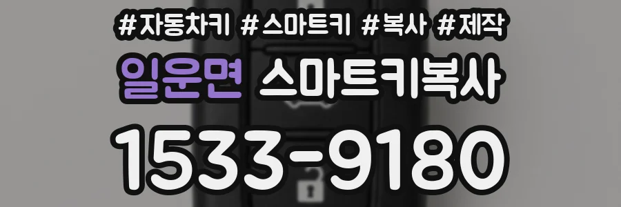 일운면 스마트키복사