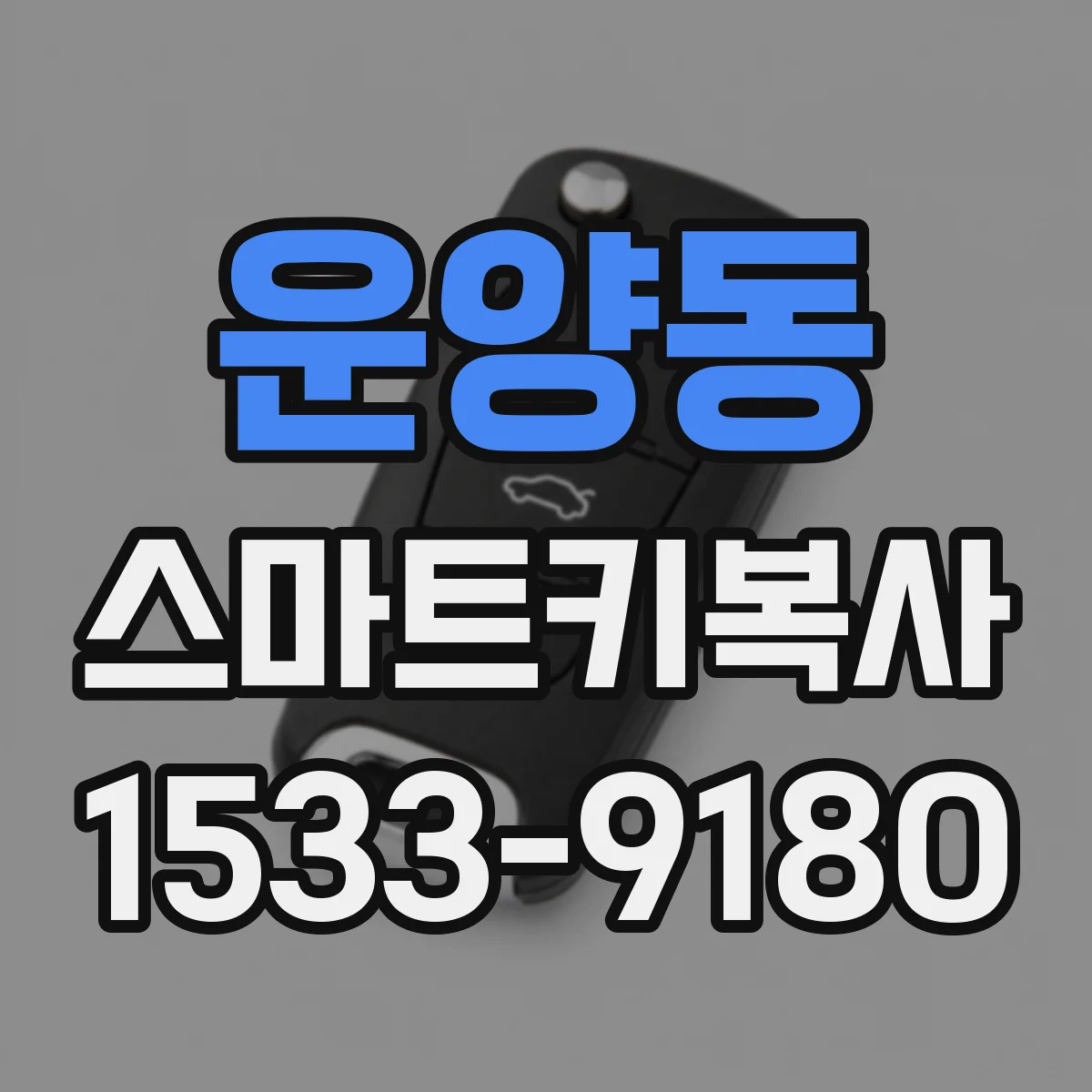 운양동 스마트키복사