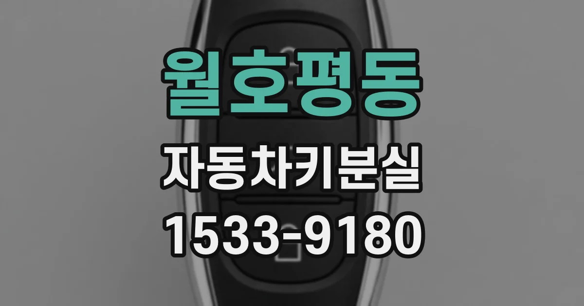 월호평동 자동차키분실