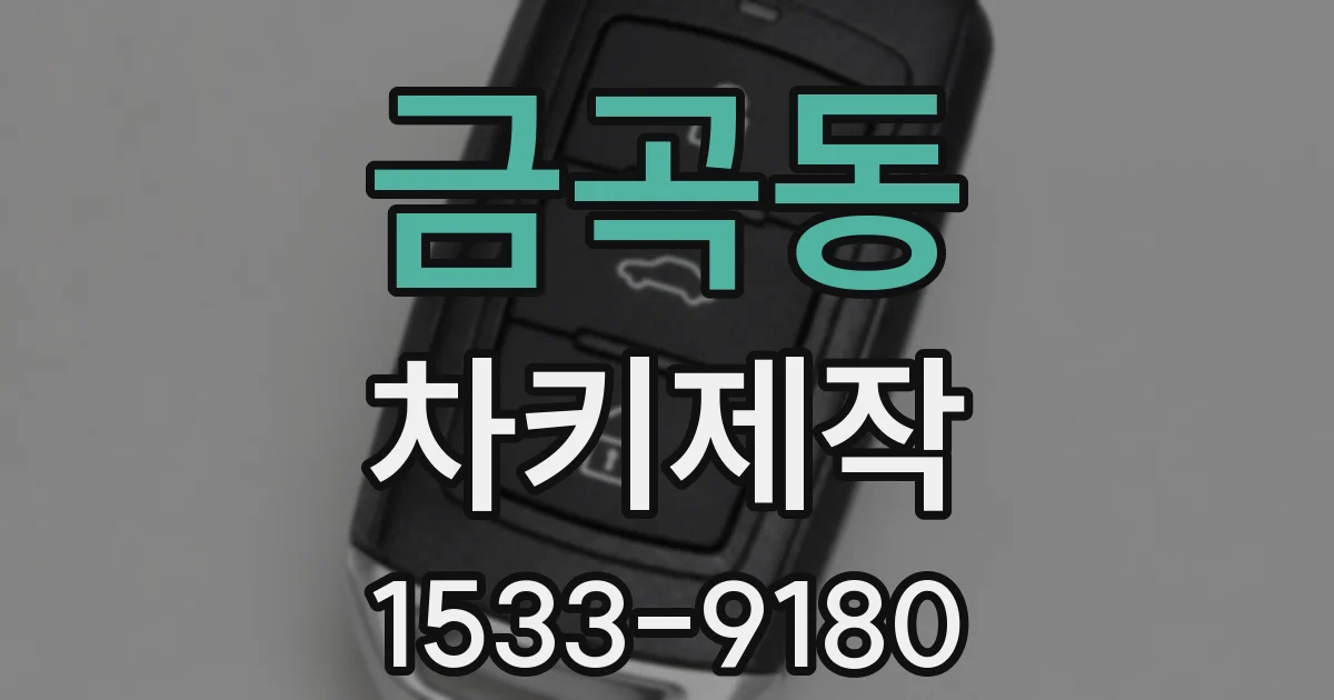 금곡동 차키제작
