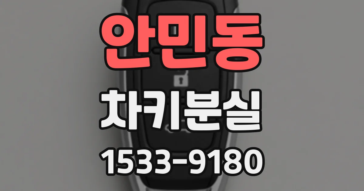 안민동 차키분실