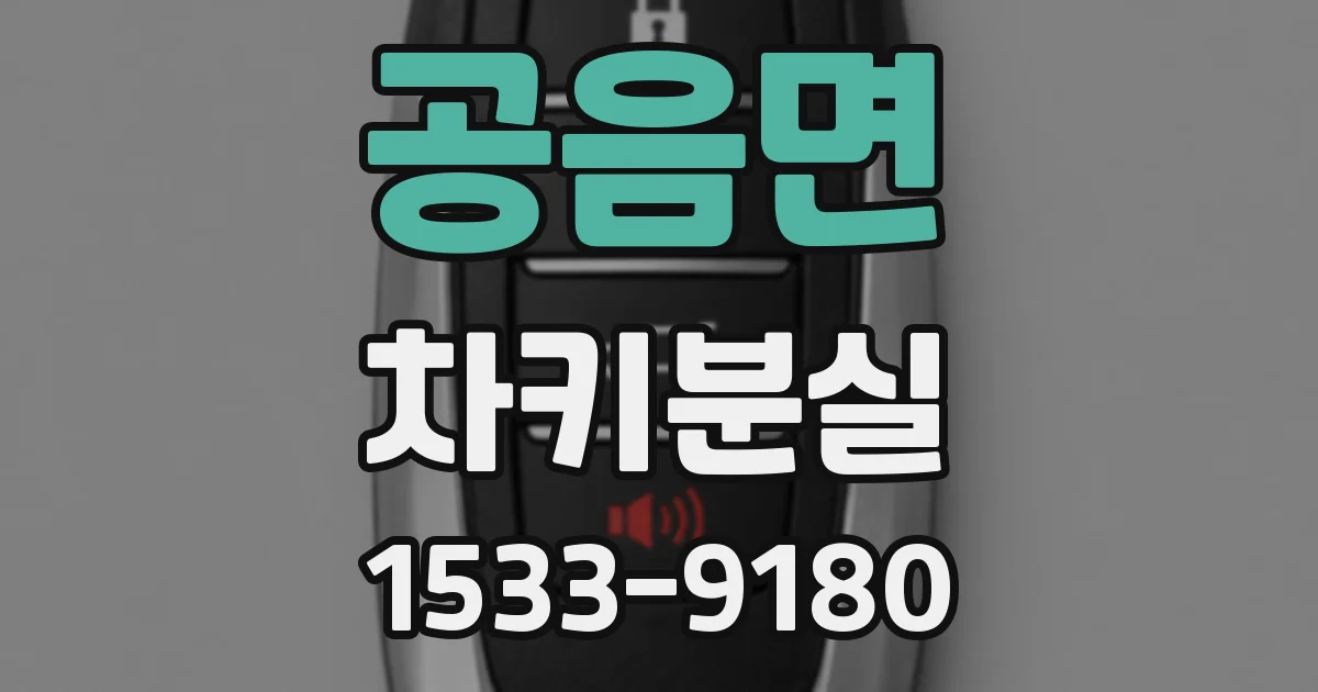 공음면 차키분실