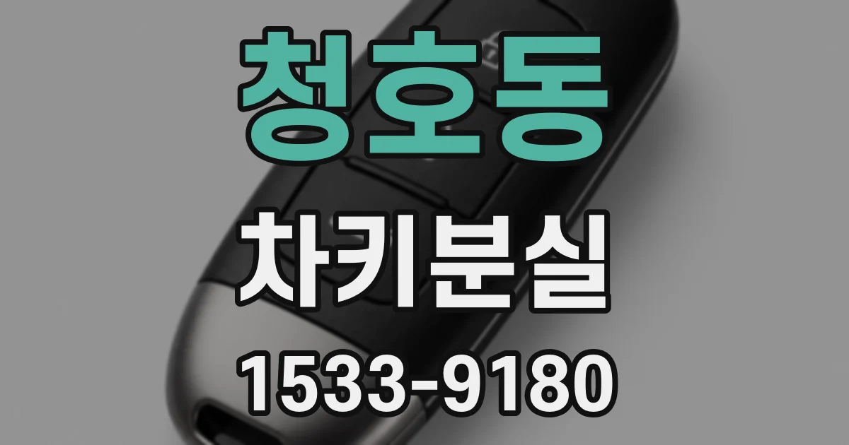 청호동 차키분실