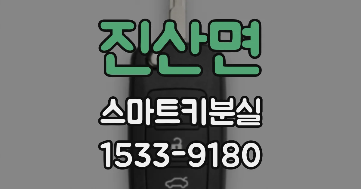 진산면 스마트키분실