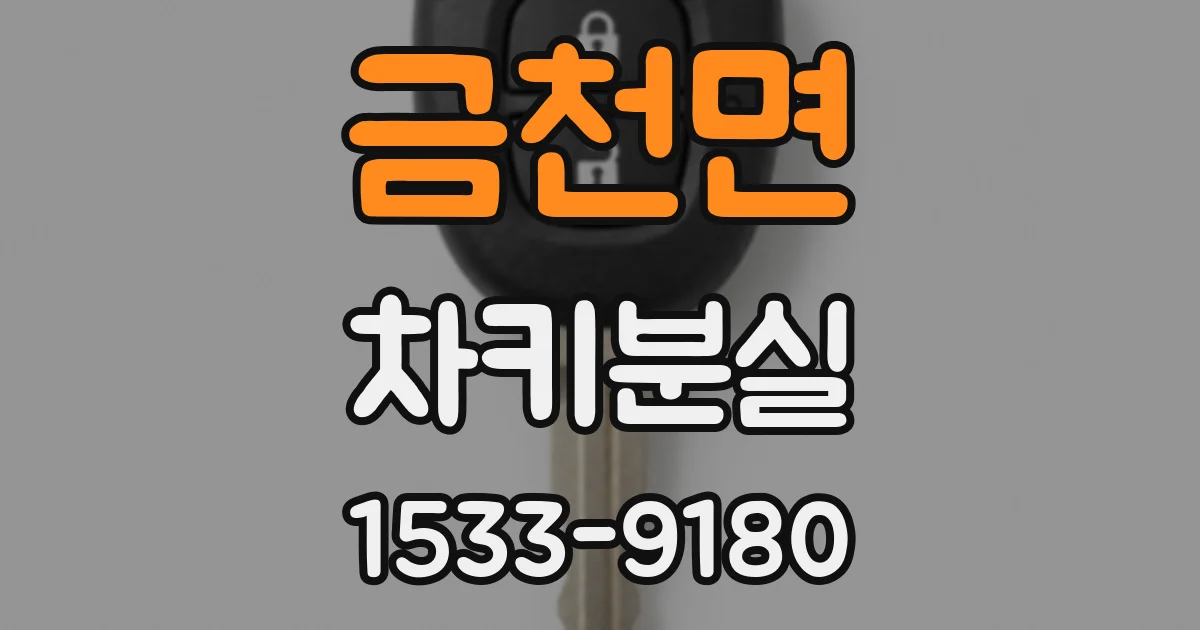 금천면 차키분실