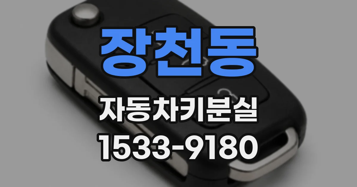 장천동 자동차키분실