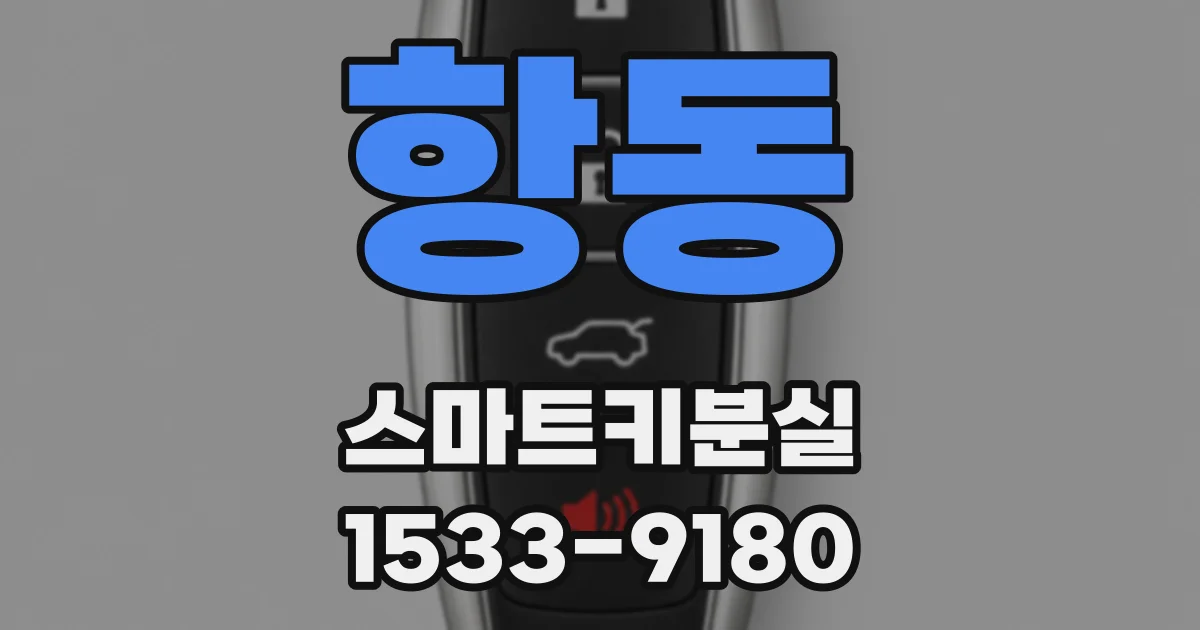 항동 스마트키분실