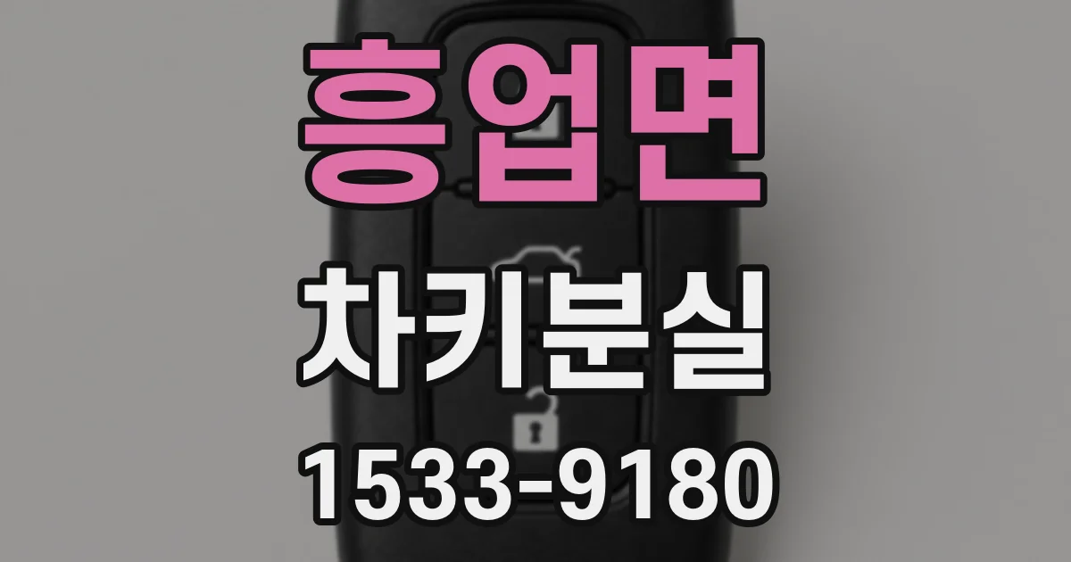 흥업면 차키분실
