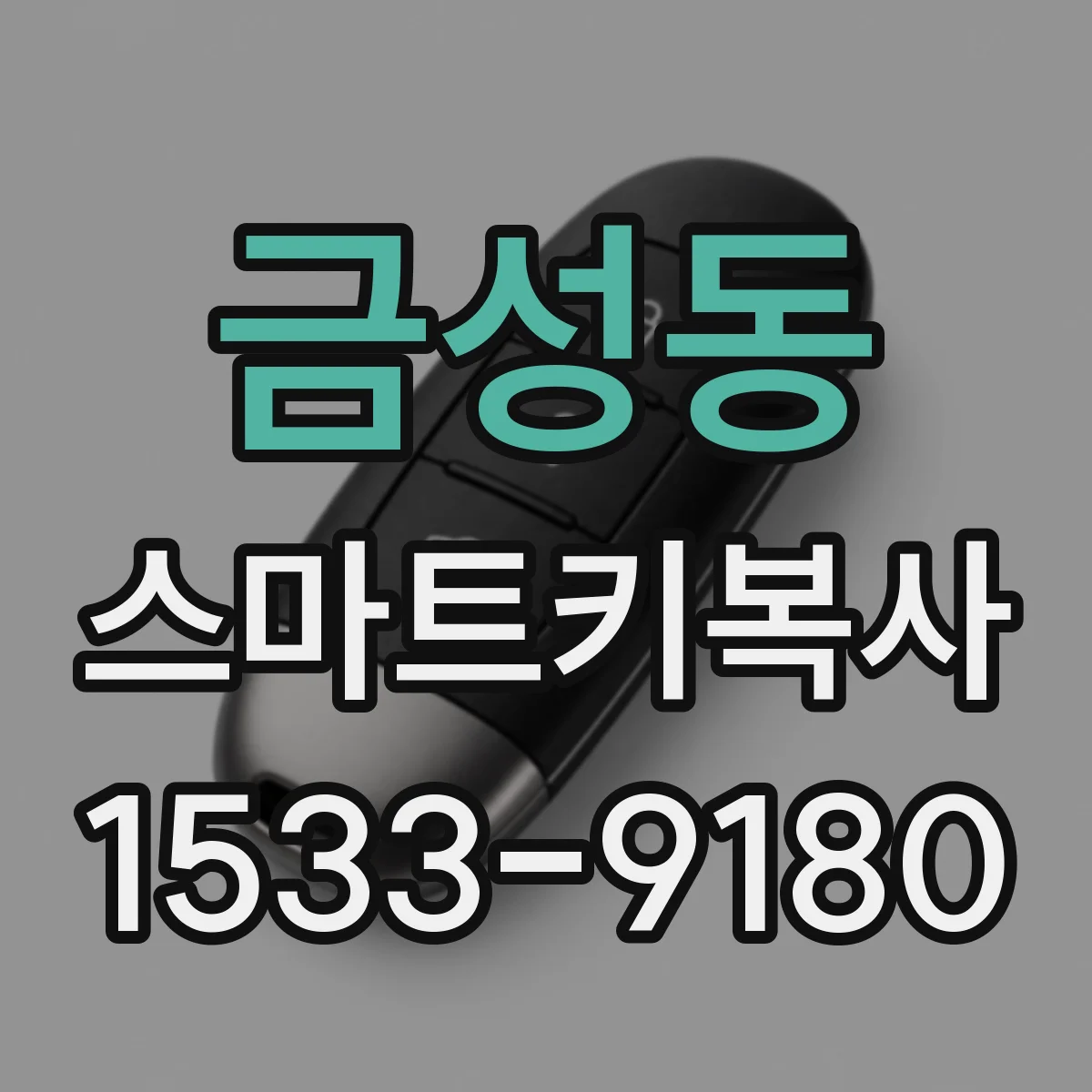 금성동 스마트키복사