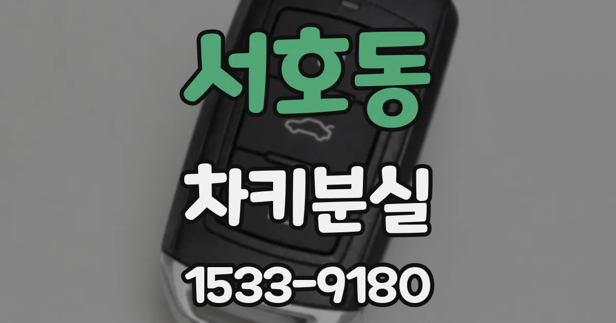 서호동 차키분실