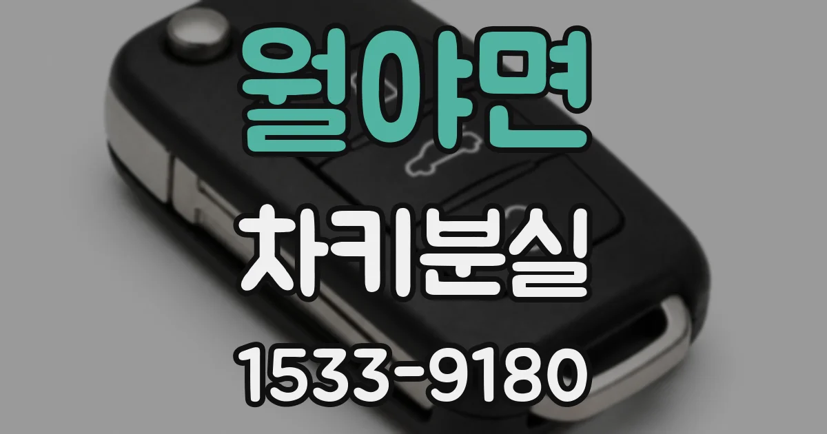 월야면 차키분실