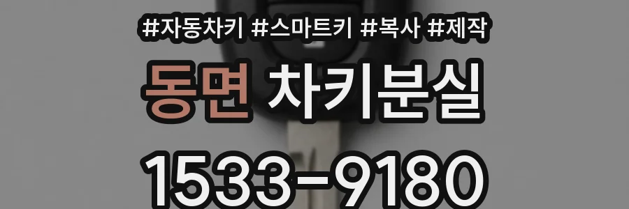 동면 차키분실