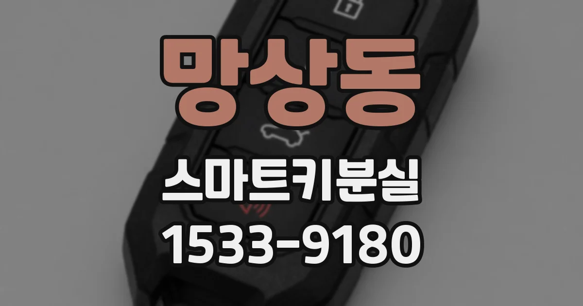 망상동 스마트키분실