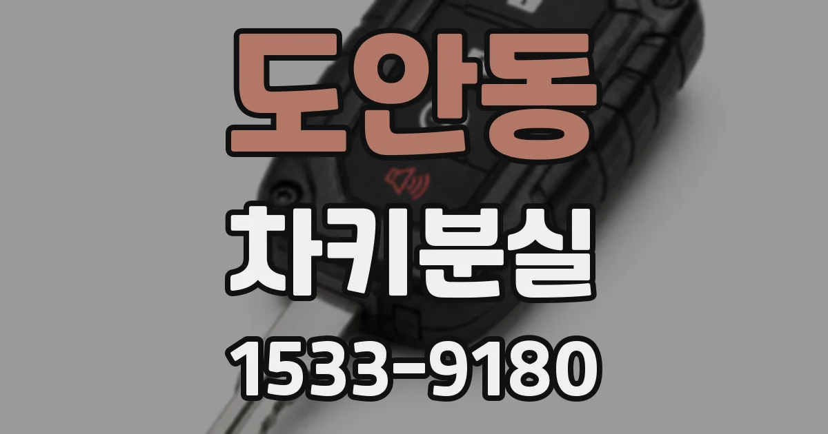 도안동 차키분실