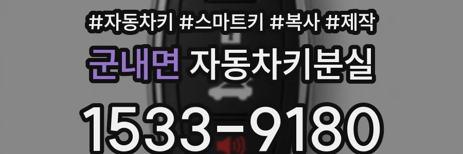 군내면 자동차키분실