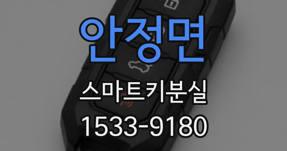 안정면 스마트키분실