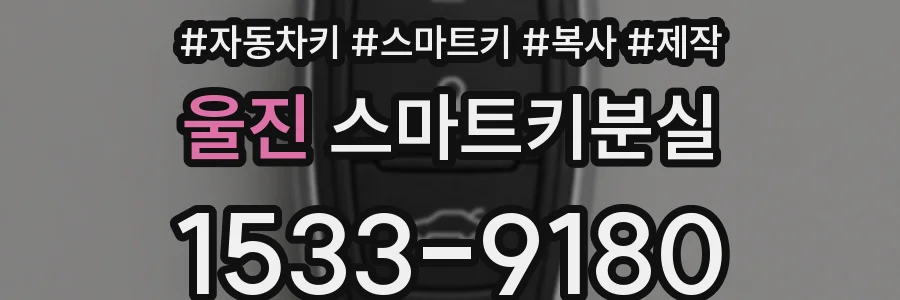 울진 스마트키분실