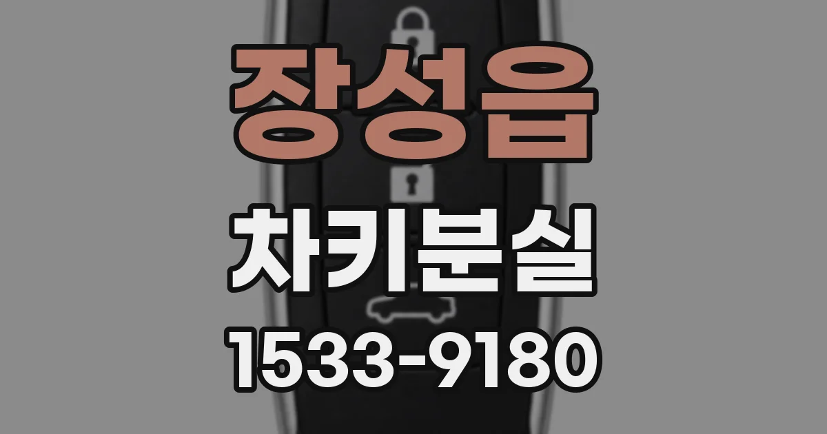 장성읍 차키분실