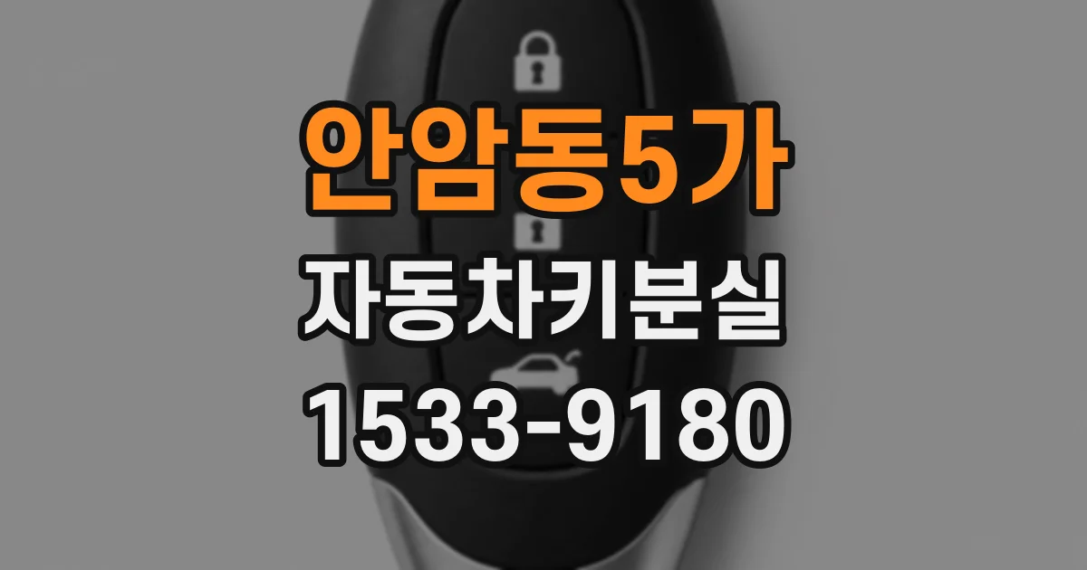 안암동5가 자동차키분실
