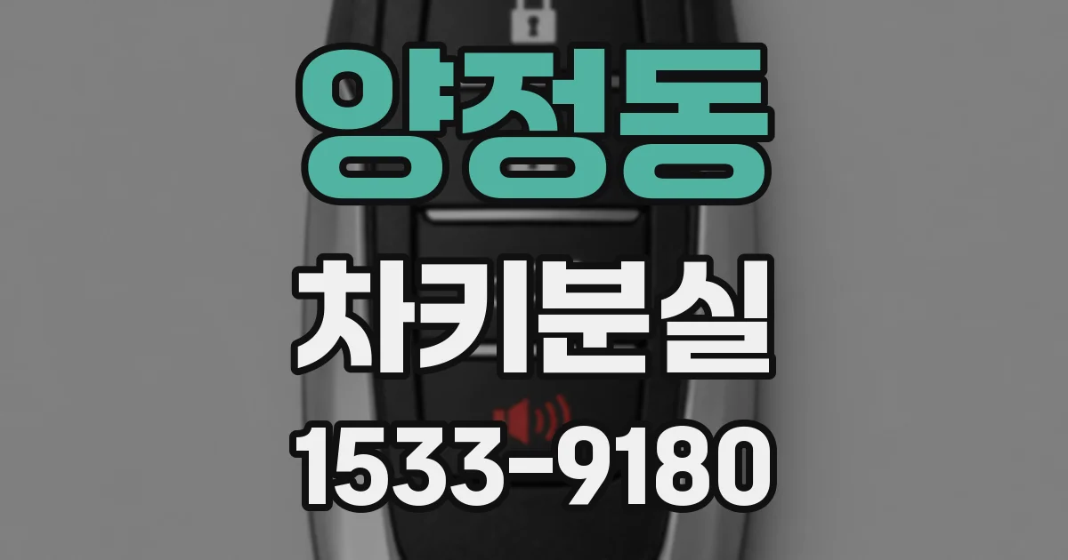 양정동 차키분실