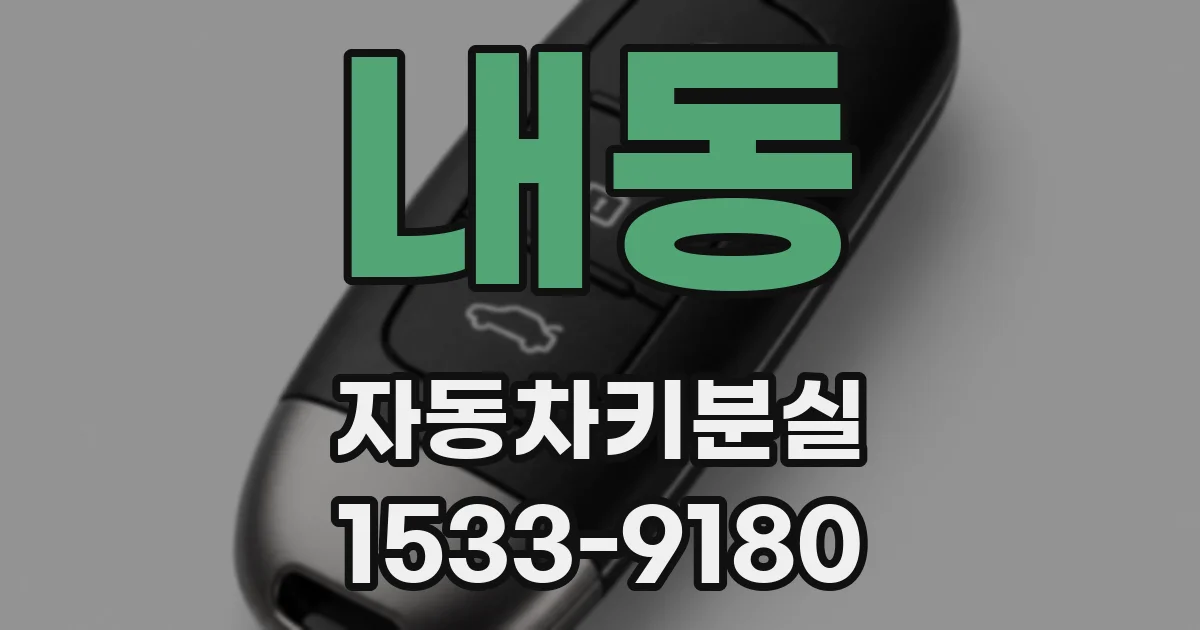 내동 자동차키분실