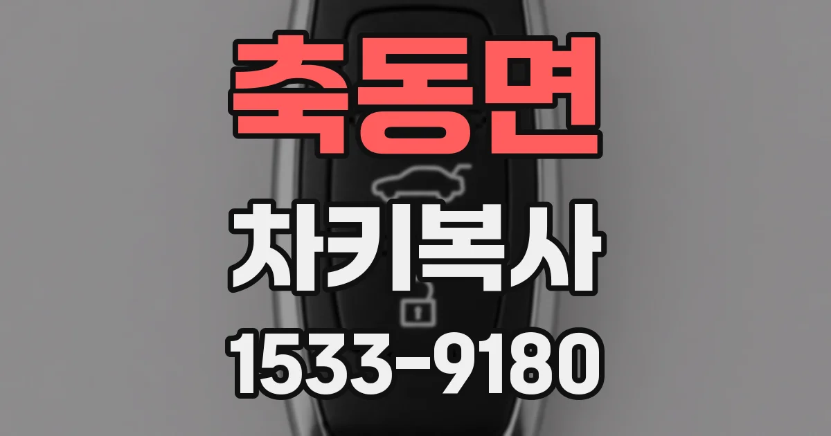 축동면 차키복사