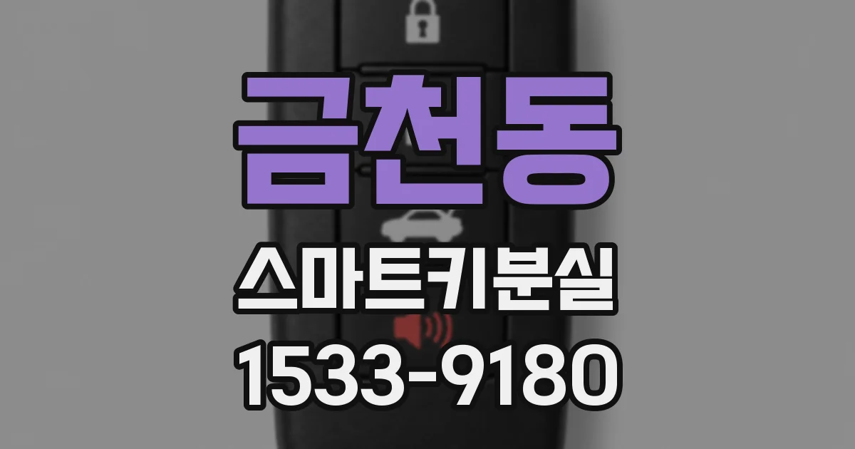 금천동 스마트키분실