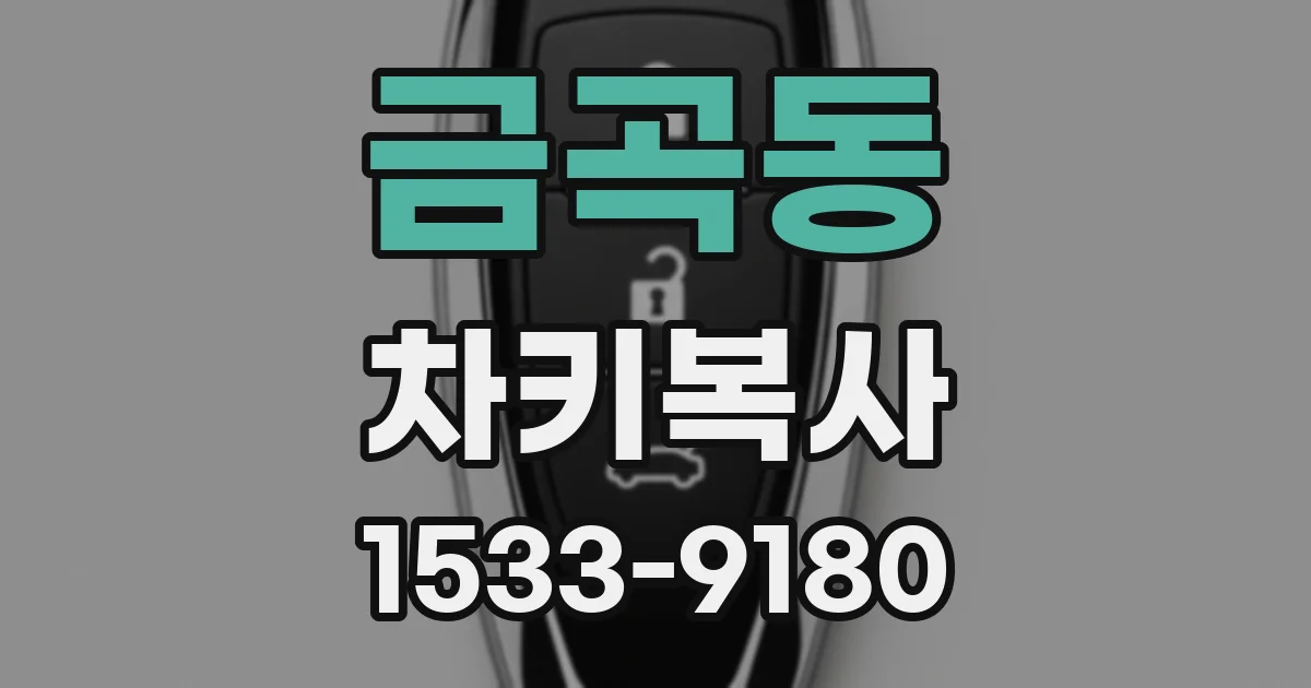 금곡동 차키복사