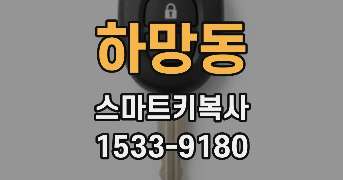 하망동 스마트키복사