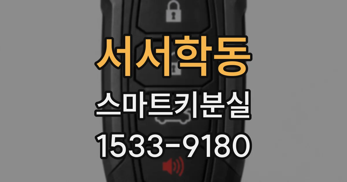 서서학동 스마트키분실