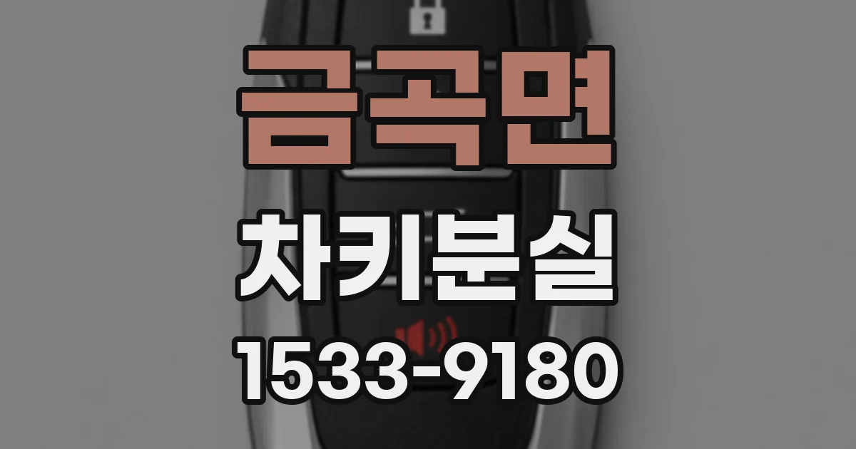 금곡면 차키분실