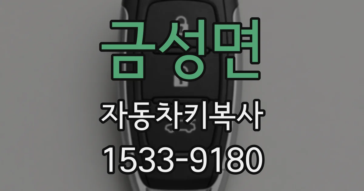 금성면 자동차키복사