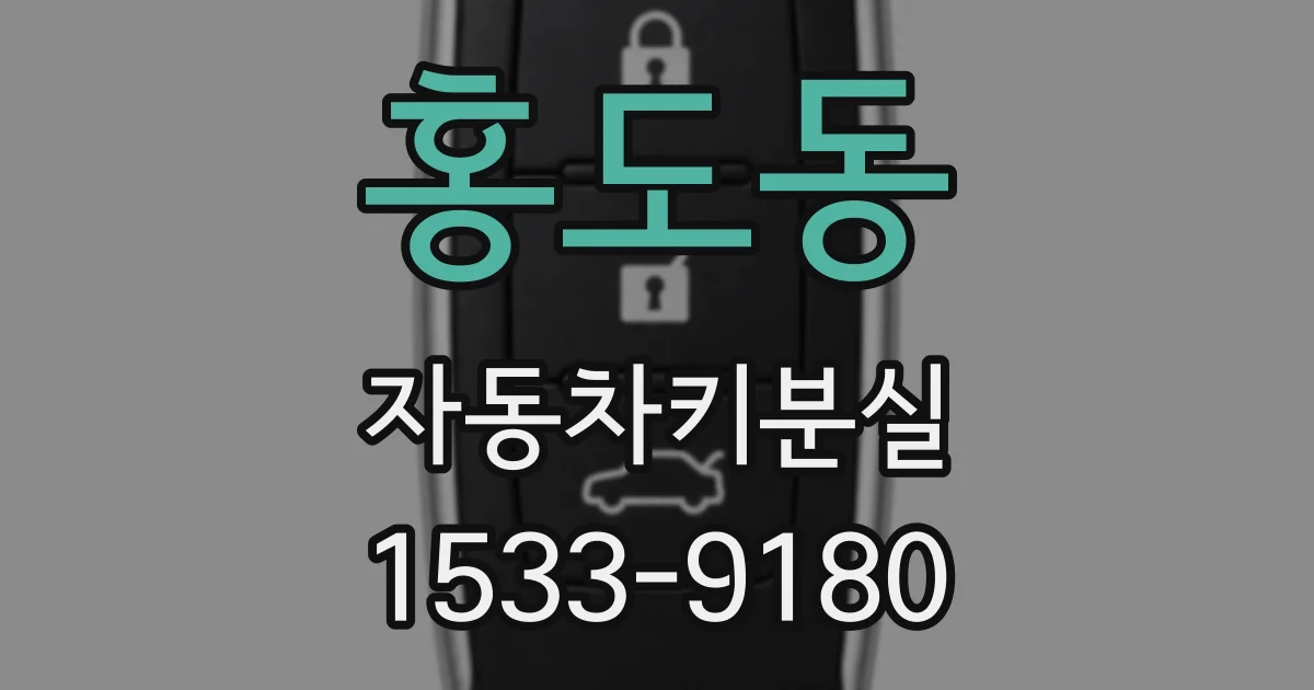 홍도동 자동차키분실