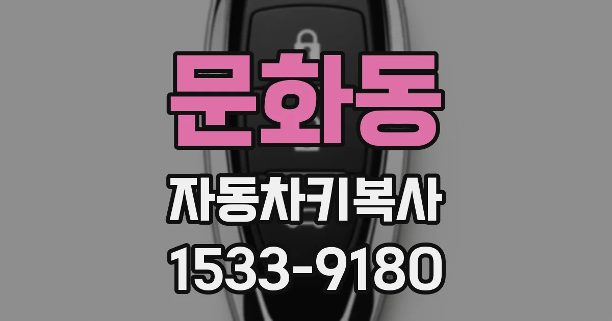 문화동 자동차키복사