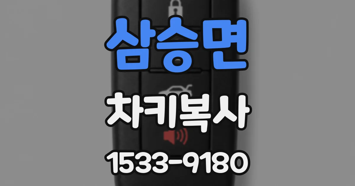 삼승면 차키복사