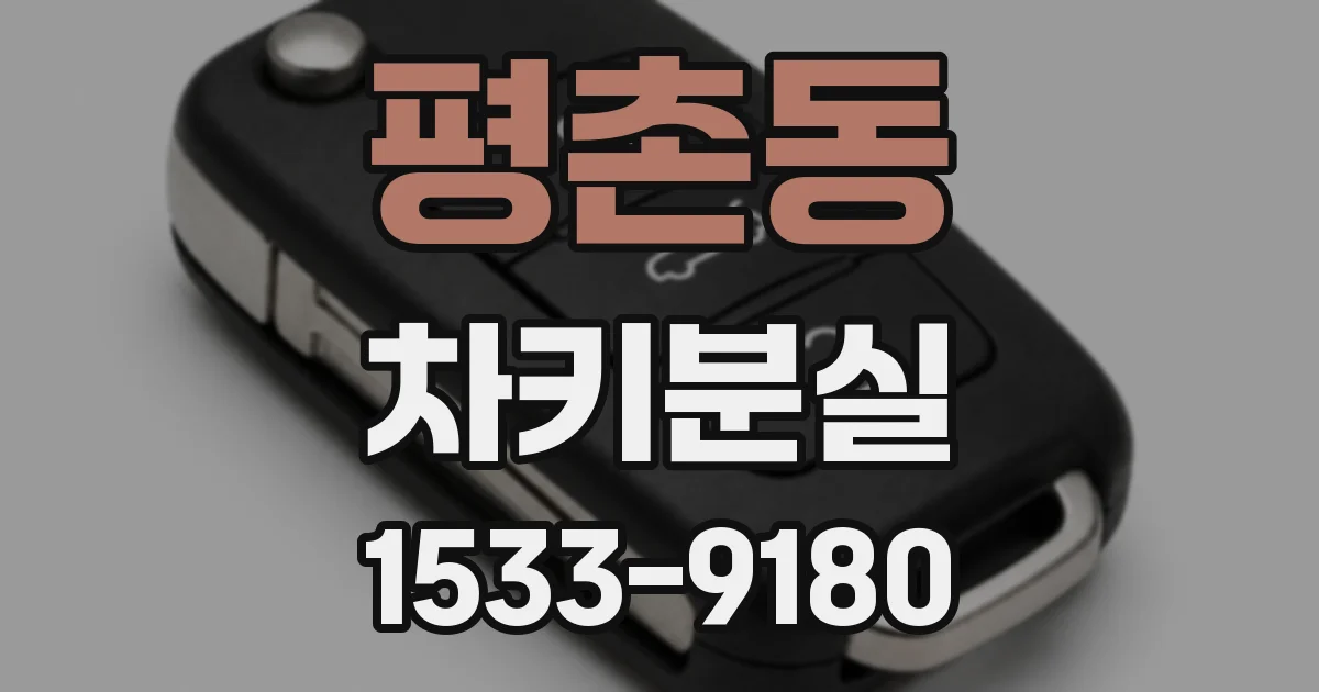 평촌동 차키분실