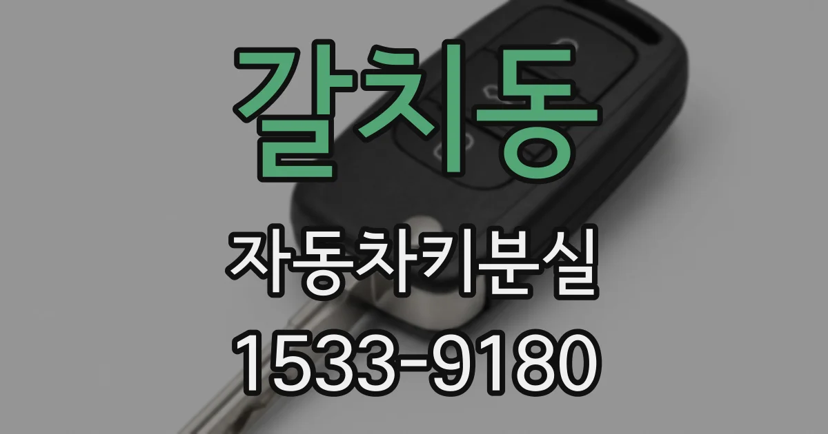 갈치동 자동차키분실