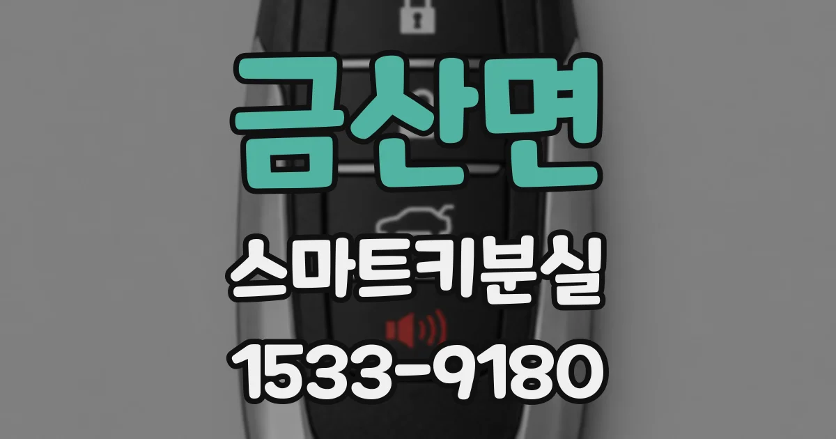 금산면 스마트키분실