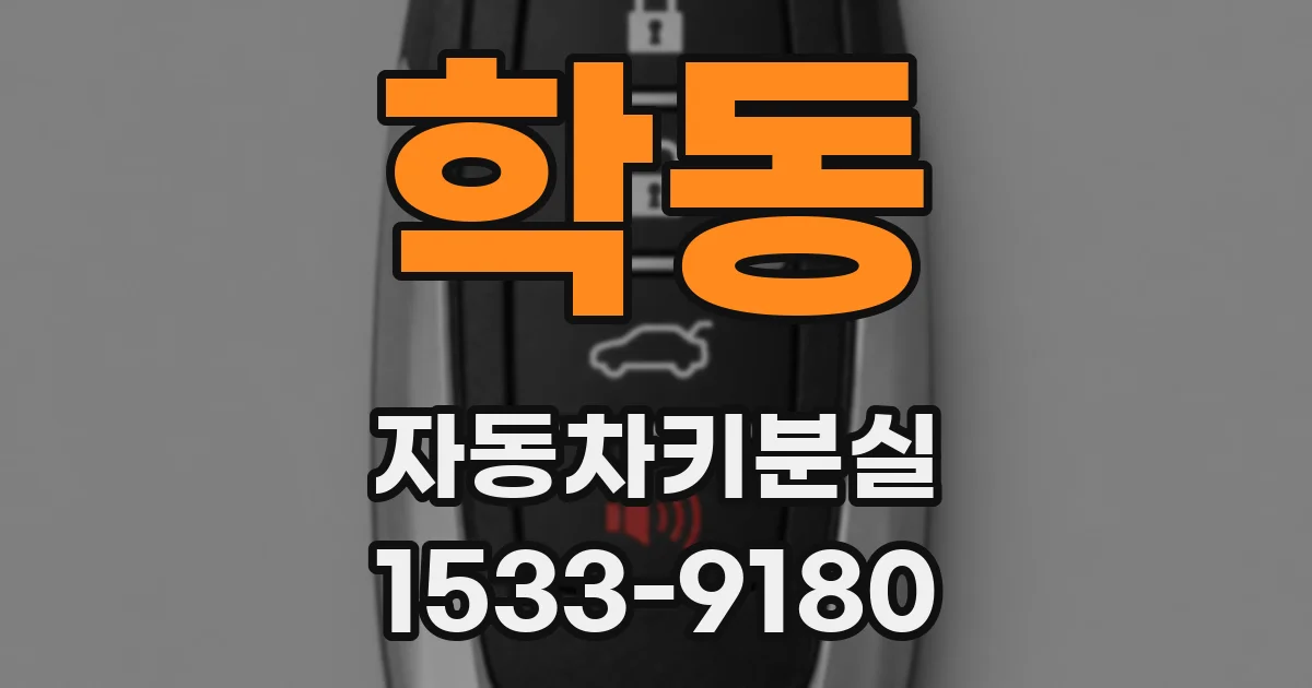학동 자동차키분실