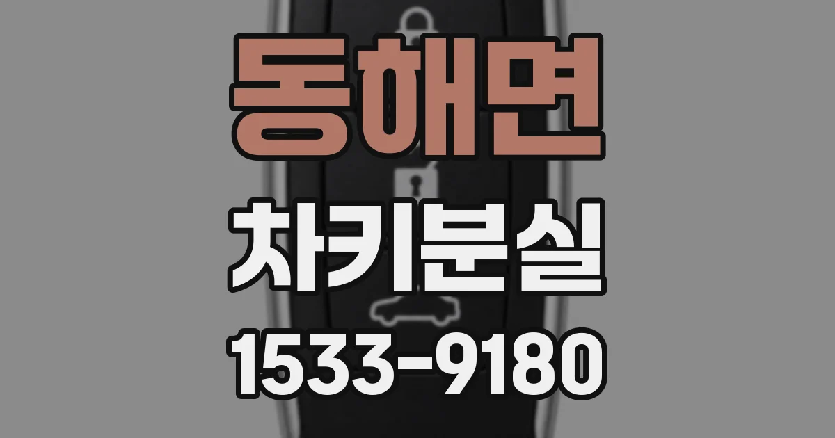 동해면 차키분실